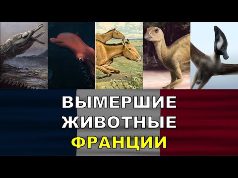 Видео: 5 Вымерших Животных Франции | Вымершие Животные Разных Стран