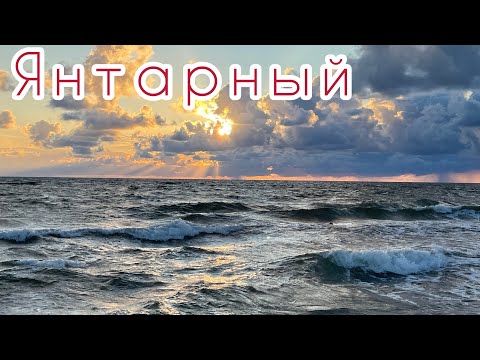 Видео: Янтарный пляж 2023. Балтийское море