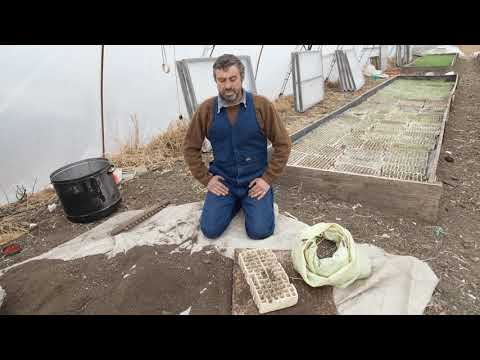 Видео: БЪЛГАРСКАТА ГРАДИНАРСКА ТРАДИЦИЯ част 7