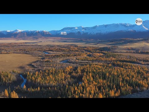 Видео: Наша Сибирь 4К: Отроги Северо-Чуйского хребта