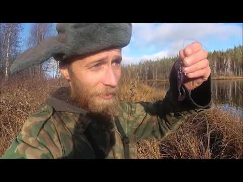 Видео: Рыбалка в Карелии на Спиннинг