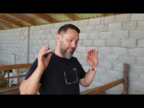 Видео: +77017224679. Дорперы, Кыргызстан