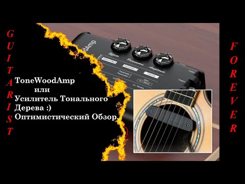 Видео: ToneWoodAmp или Усилитель Тонального Дерева :) Оптимистический Обзор.