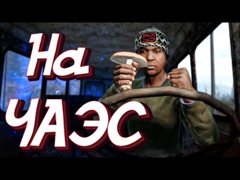 Видео: АФРИКАНЕЦ идет на ЧАЭС в Dayz Stalker RP