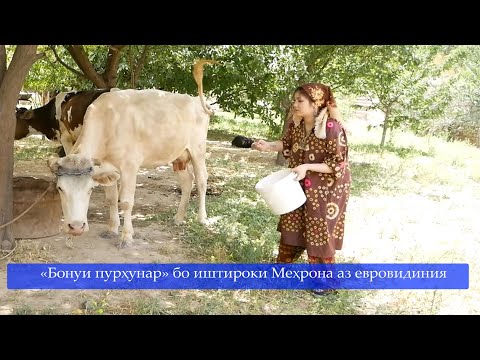 Видео: «Бонуи пурхунар» бо иштироки Мехрона