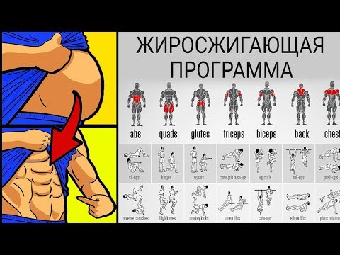 Видео: Самые ГЛАВНЫЕ принципы построения программы для СЖИГАНИЯ ЖИРА