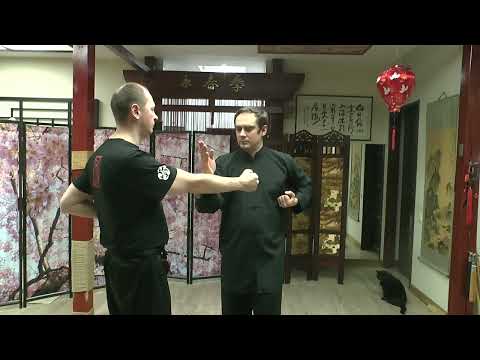 Видео: РАЗВИТИЕ ФОРМЫ "МАЛАЯ ИДЕЯ" 23 01 2025г