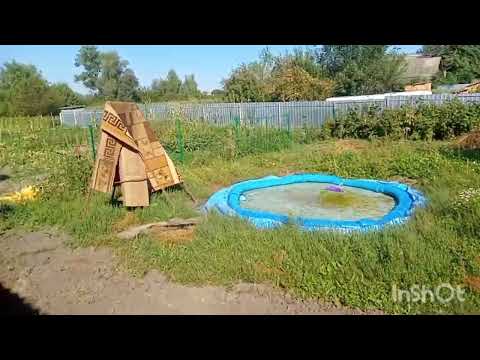Видео: Останні теплі дні вересня. Копаємо моркву. Ліс. Гриби