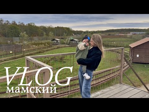 Видео: Первый раз в ЗООпарке 🐯 Кризис 2-х лет пришел раньше? Наш режим дня в год и 9 | моё тайное увлечение