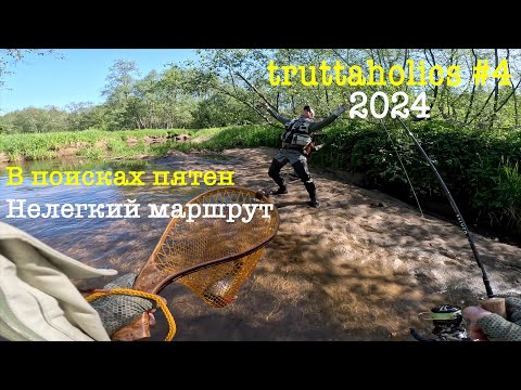 Видео: В поисках пятен. truttaholics #4