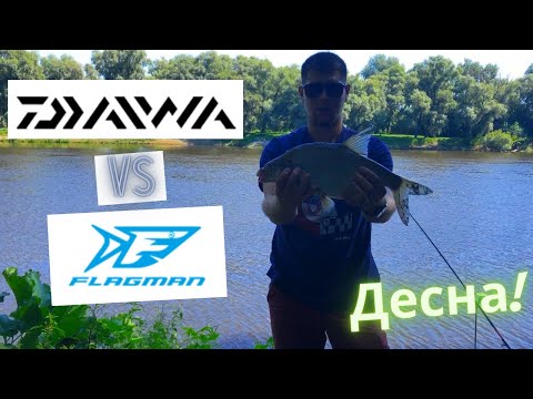 Видео: 🎣 Десна 2022.Сравнения фидерного удилище Daiwa Ninja-X  против  Flagman Squadron Pro. ЛЕЩ. ГОЛАВЛЬ.