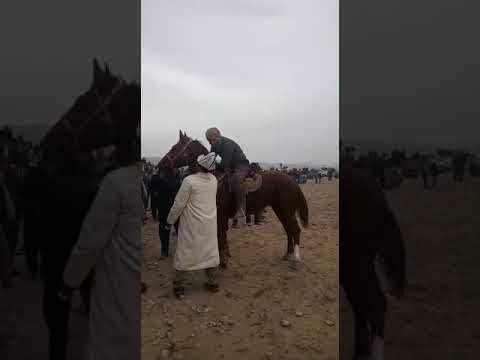 Видео: Улак Баткен шаары