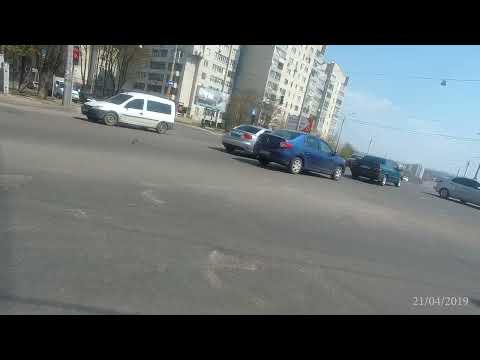Видео: вылазка на природу в день выборов 2019