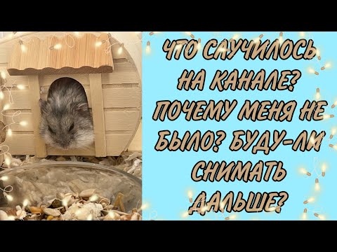 Видео: Я ВЕРНУЛАСЬ! КАКИЕ НОВОСТИ КАНАЛА?