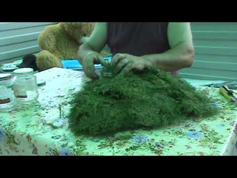 Видео: Укроп на зиму