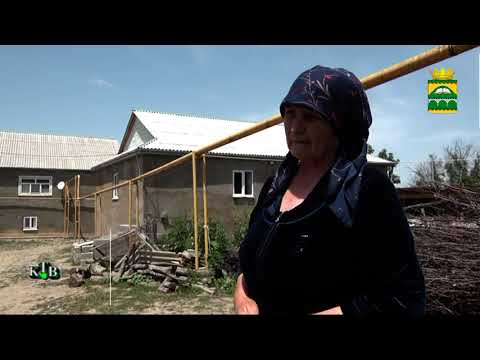 Видео: Чарарин гелеваз Пиперхуьруьз.