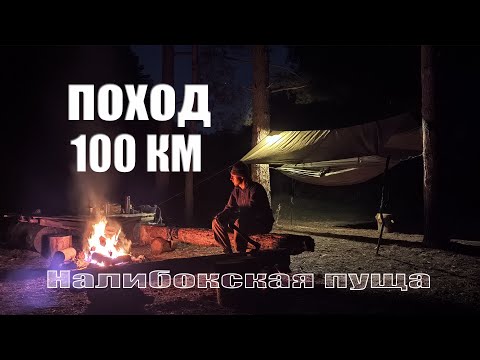 Видео: Поход 100км по Налибокской пуще