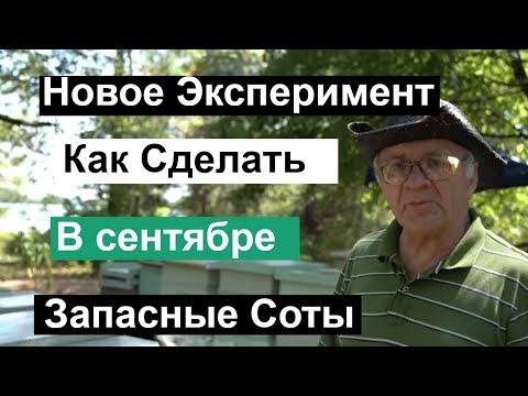 Видео: Пасека #126 Как Быстро Делают Запасные соты Пчёлы в Сентябре Пчеловодство для начинающих