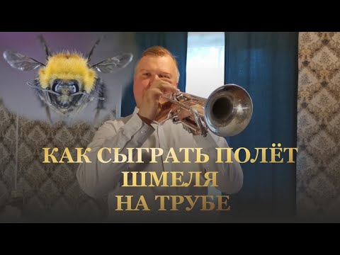 Видео: Как сыграть полёт шмеля на трубе. Техника пальцев.