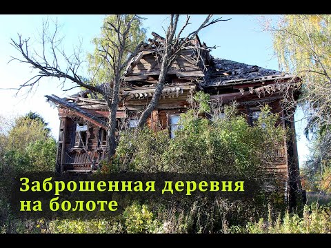 Видео: Деревни в глубинке Костромской области. Покинутые дома на болоте. Заброшенная деревня в лесу