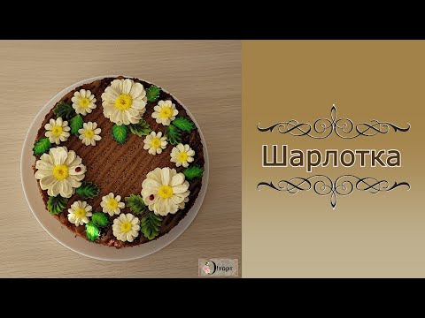 Видео: Шарлотка