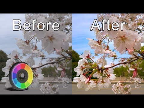 Видео: Обработка фотографий в Rawtherapee