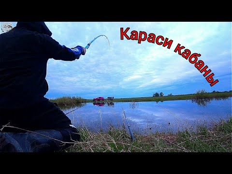 Видео: Караси кабаны. Открытие поплавковой рыбалки.