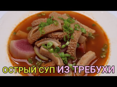 Видео: Острый Суп из Требухи (Говяжьего Желудка) Рецепт Spicy Beef Tripe Soup Recipe 소내장탕 만들기