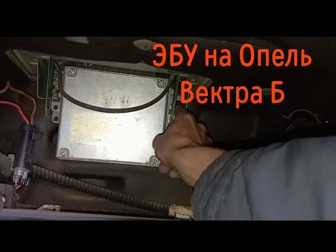 Видео: Как снять ЭБУ на Опель Вектра Б 2 литра