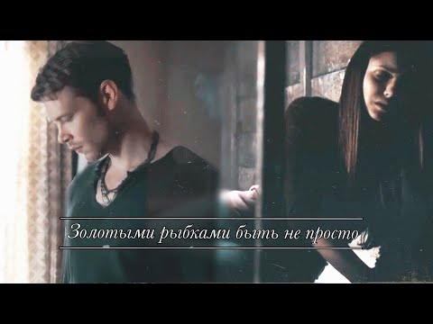 Видео: (AU) Klaus & Elena || Золотыми рыбками