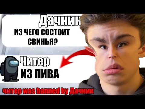 Видео: САМЫЙ ТУПОЙ ЧИТЕР В АМОНГ АС #15