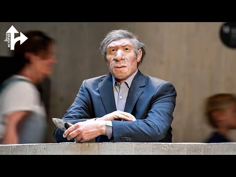 Видео: Что, если бы Неандертальцы не вымерли?