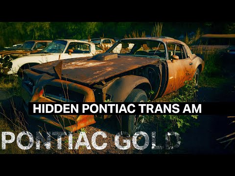 Видео: Найдена пропавшая птица — Pontiac Trans Am и целый Road Runner!