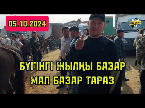 Видео: Бүгінгі жылқы базар 05.10.2024 Мал базар Тараз