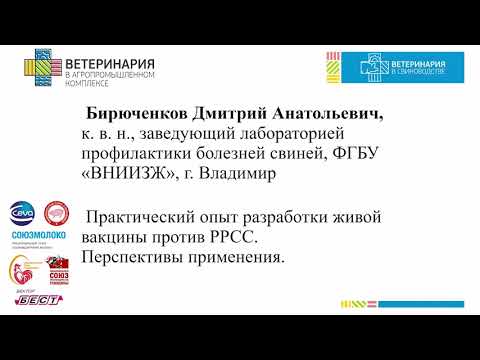Видео: Бирюченков Д.А. Практический опыт разработки живой вакцины против РРСС. Перспективы применения.