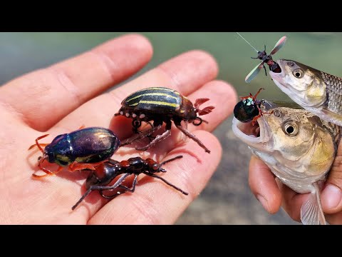 Видео: Почти живые насекомые!🐞 Очень реалистичные приманки на голавля