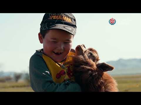 Видео: Erdenebat.B | Altan urag - 35 usgiin magtaal / 35 үсгийн магтаал