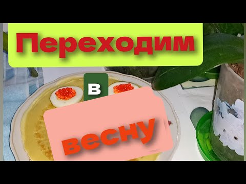 Видео: 02.03.2025 Переходим с зимнего в весеннее цветение )