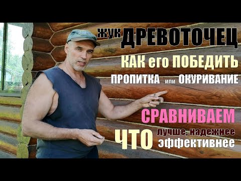 Видео: Сруб жрет ДРЕВОТОЧЕЦ и КОРОЕД? Чем предлагают лечить и КАК это работает - УЗНАЙ, что ЭФФЕКТИВНЕЕ