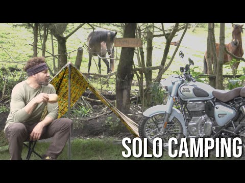 Видео: СОЛО Кемпинг на мотоцикле | чистый звук АСМР | Роял Энфилд