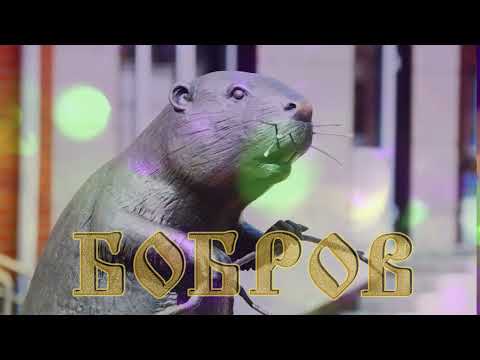 Видео: Бобров исторический. Династия Новиковых.