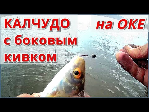 Видео: Рыбалка на ОКЕ на КАЛЧУДО и БОКОВОЙ КИВОК. Весна 2020.