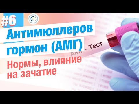 Видео: ⭐ Антимюллеров гормон (АМГ) норма, повышен, влияние на зачатие