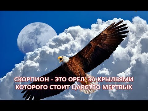 Видео: СКОРПИОН ЭТО ОРЕЛ ЗА КРЫЛЬЯМИ КОТОРОГО СТОИТ ЦАРСТВО МЕРТВЫХ