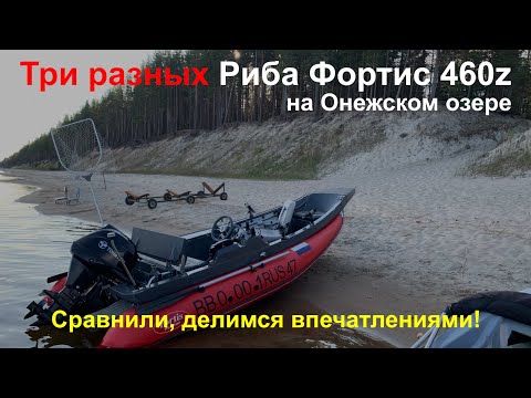 Видео: Три отзыва о Риб Фортис 460Z - тесты на Онежском озере