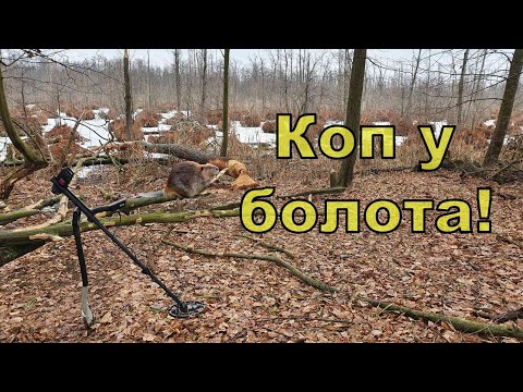 Видео: Находки из прошлого! Коп у болота с NOKTA Anfibio Multi! Фильм 121