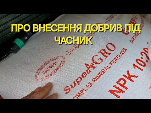Видео: Вичерпно про добрива під посадку. Що вносити і в якій кількості?