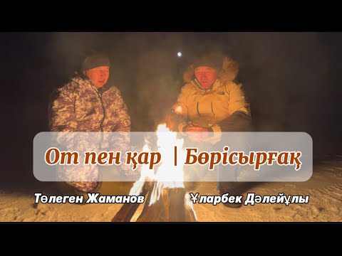 Видео: От пен қар | Төлеген Жаманов пен Ұларбек Дәлейдің сұхбаты | Бөрісырғақ