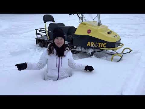 Видео: Мини снегоход Арктик 4Т Лонг Люкс в деле🔥