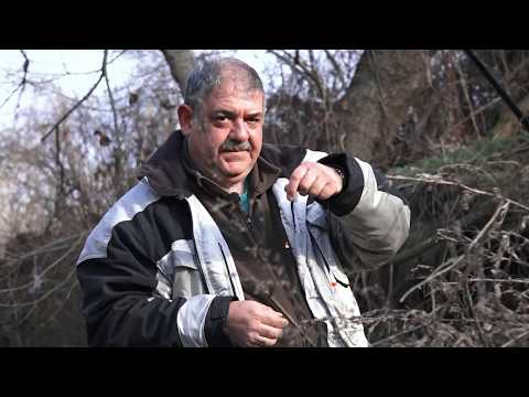 Видео: Риболов на Кефал на река Чая_digitalstudiobg